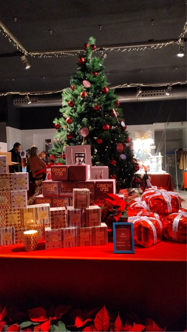 IMG_20241122_181807771 - dimensioni grandi